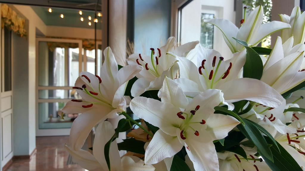 Hotel In Den Herrnwiesen Wertheim Luaran gambar